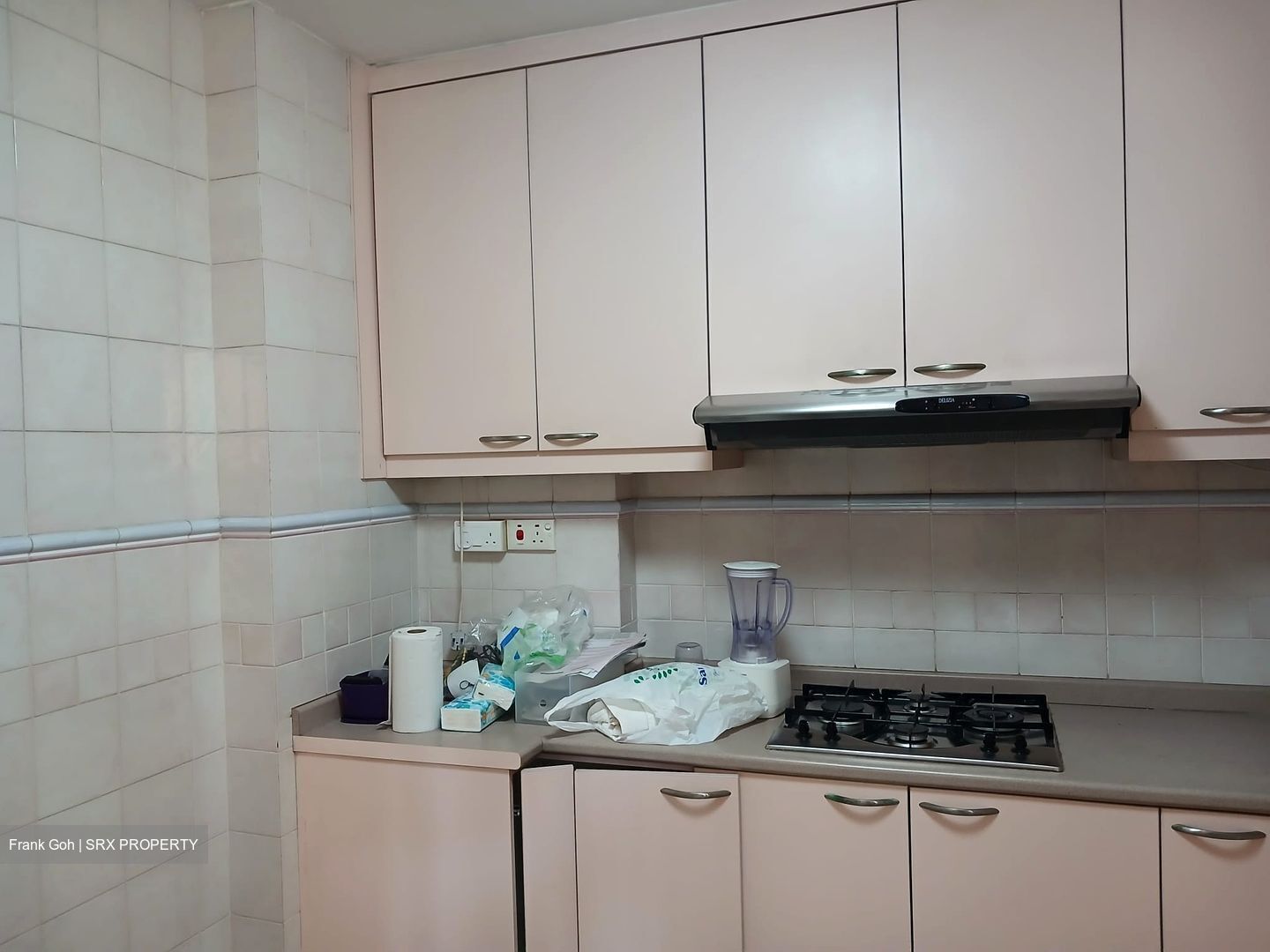Dover Parkview (D5), Condominium #584508491